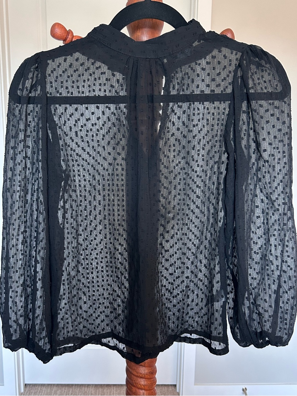 Sheer Black Dotted Swiss Blouse - Classic Women's Top